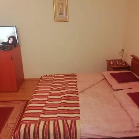 Asta La Vista Miskolc